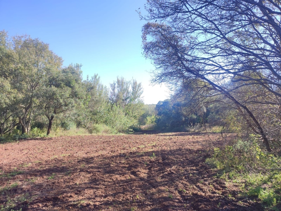 4 Bedroom Property for Sale in Lichtenburg North West